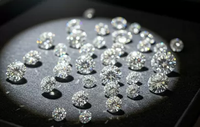 Cầm kim cương phường Hòa Bình