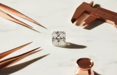 Cầm kim cương phường Hòa Hưng