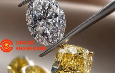 Cầm kim cương Phường Tây Thạnh